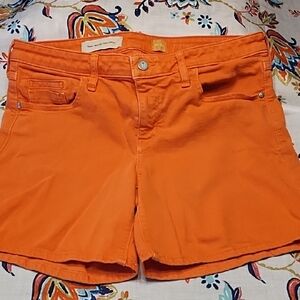 Anthropologie Sz 30 Shorts